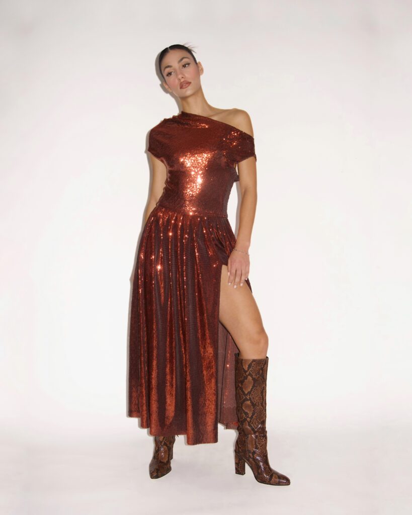 the REINE DES ÉCLATS dress